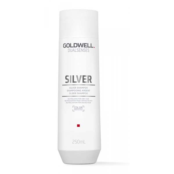 Goldwell Dualsenses Silver Shampoo 250ml   Goldwell Dualsenses Silver Shampoo 250ml Everythinghair 